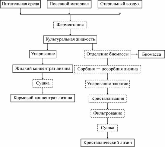 ��������: image009