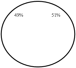 ����: 49%                       51%