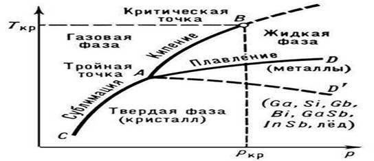 ��������: ��� 1.jpg