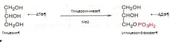 ��������: C:\Documents and Settings\Admin\������� ����\ScreenHunter_050.bmp