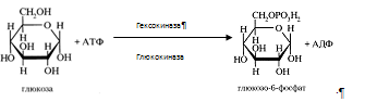 ��������: C:\Documents and Settings\Admin\������� ����\ScreenHunter_023.bmp