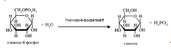 ��������: C:\Documents and Settings\Admin\������� ����\ScreenHunter_025.bmp
