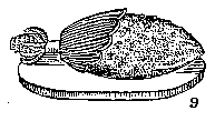 [�������]