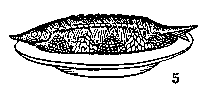 [�������� ����]